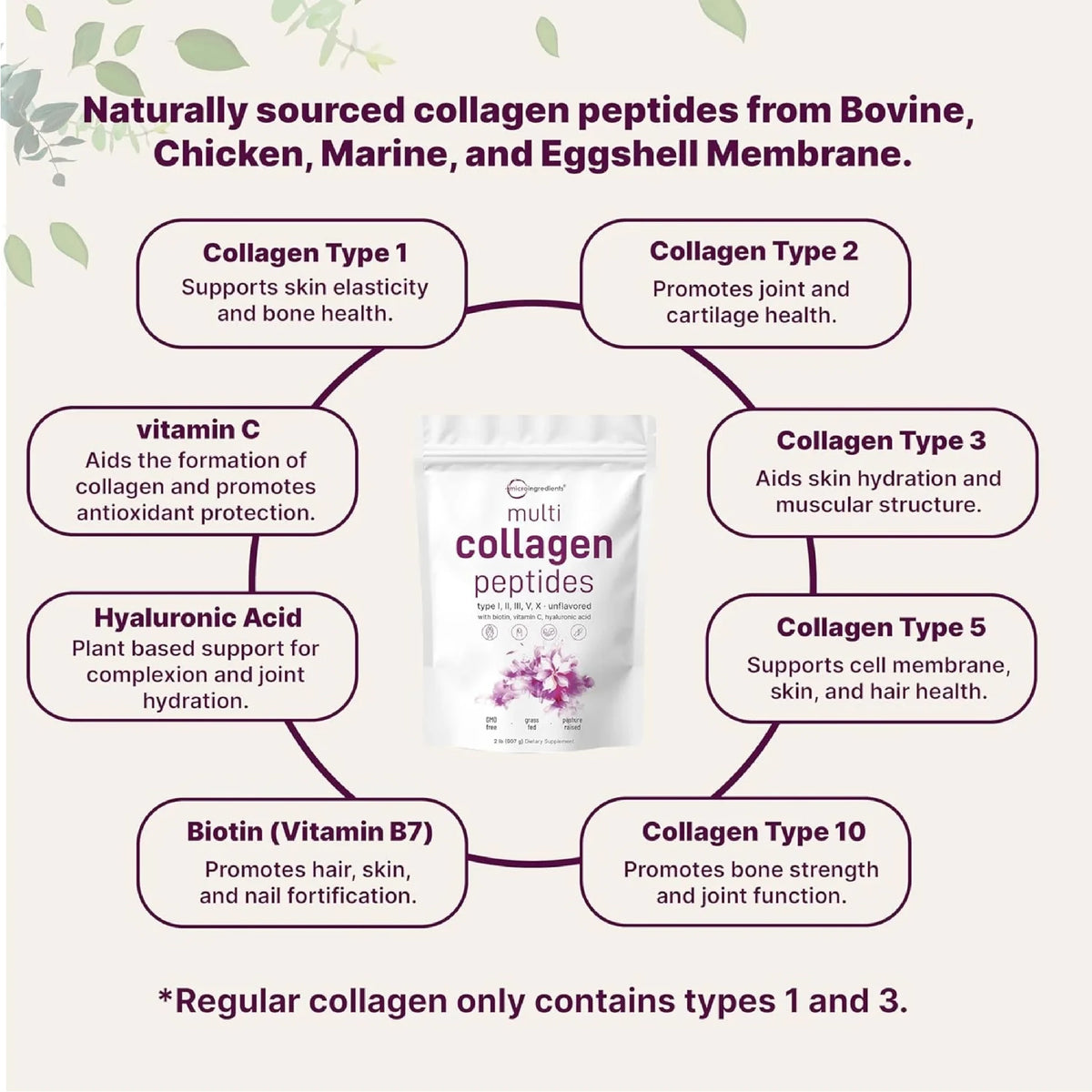 Multi Collagen Peptides